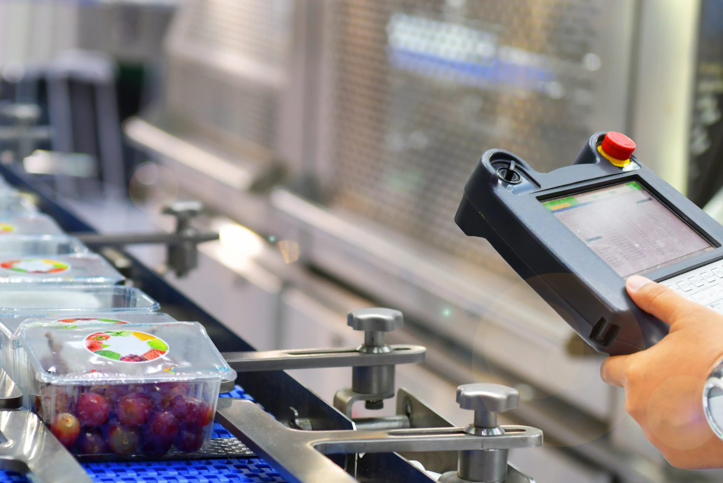 Errores comunes en seguridad alimentaria: cómo identificarlos y corregirlos