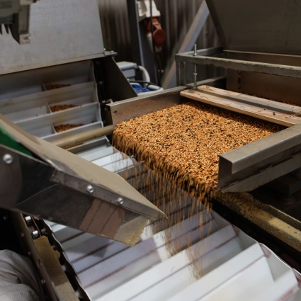 Sistema de distribución vibratoria para productos agroalimentarios secos como semillas o pellets