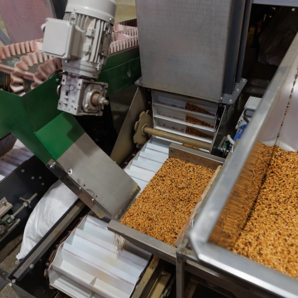 Línea industrial llenando envases con pasta seca o similar en proceso agroalimentario