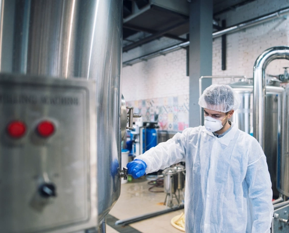 fabricante europeo linea envasado